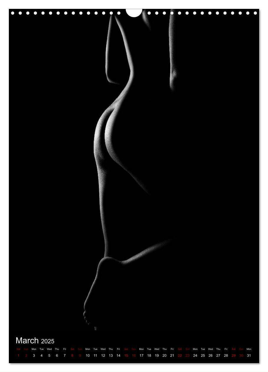 Bild: 9781325972951 | erotic shadows 2025 (Wall Calendar 2025 DIN A3 portrait), CALVENDO...