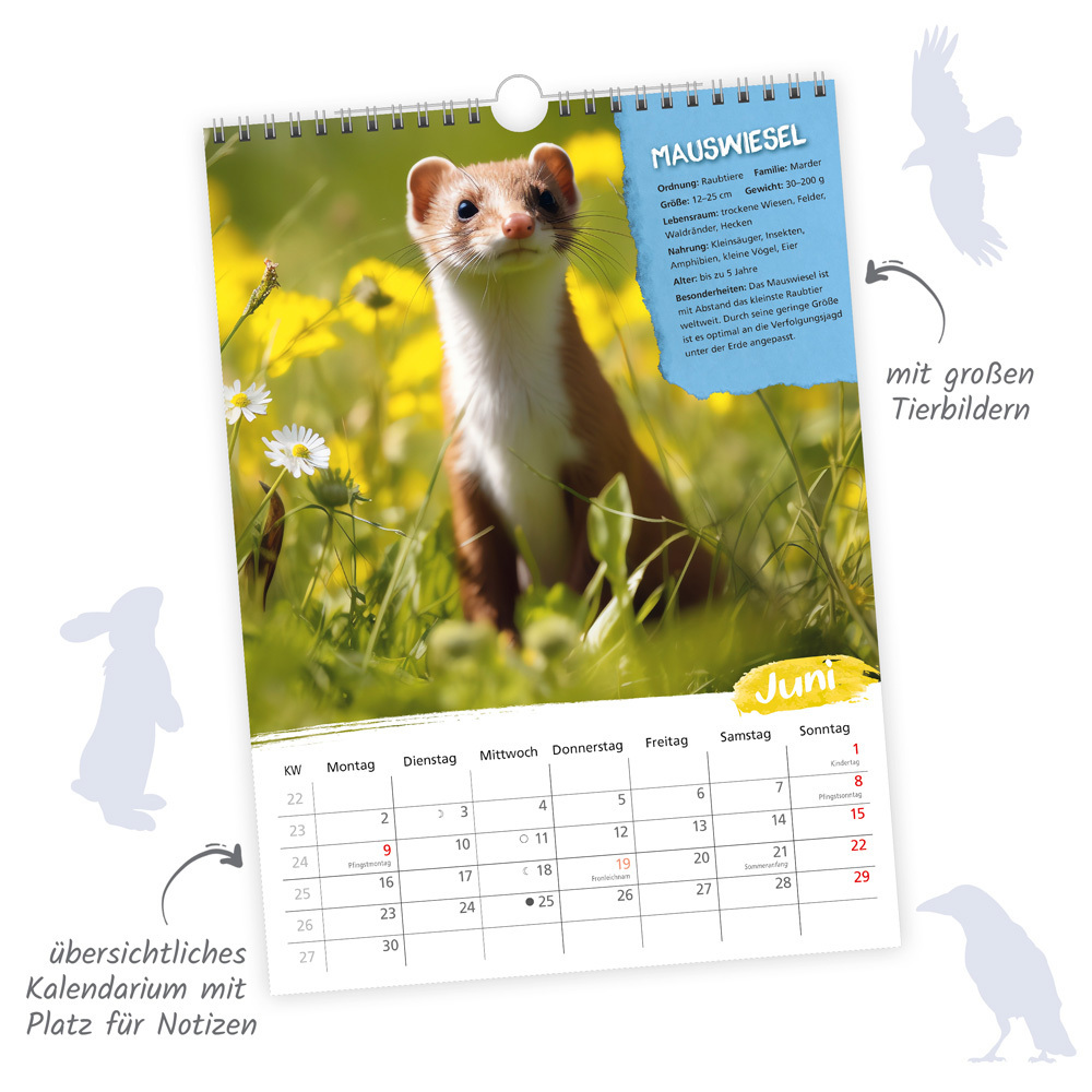 Bild: 9783988021984 | Trötsch Classickalender Heimische Tierwelt 2025 | Wandkalender | 24 S.