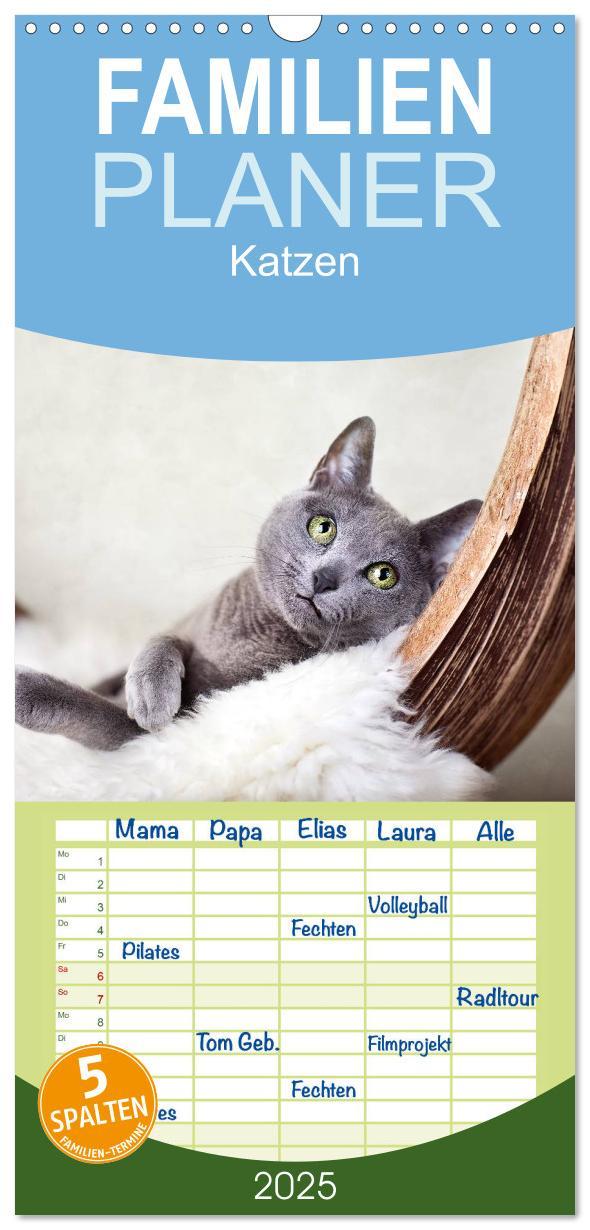 Cover: 9783457111178 | Familienplaner 2025 - Katzen mit 5 Spalten (Wandkalender, 21 x 45...