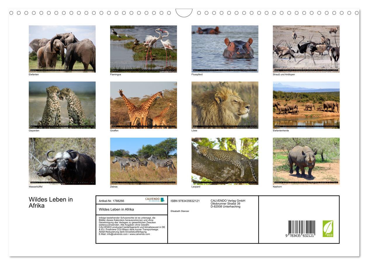 Bild: 9783435632121 | Wildes Leben in Afrika (Wandkalender 2025 DIN A3 quer), CALVENDO...