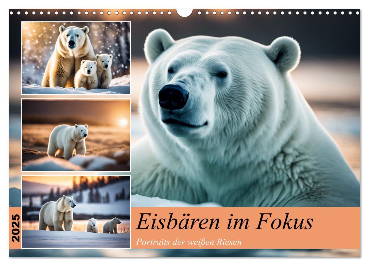 Cover: 9783383819988 | Eisbären im Fokus (Wandkalender 2025 DIN A3 quer), CALVENDO...