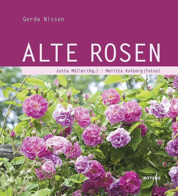 Cover: 9783804213357 | Alte Rosen | Gerda Nissen | Buch | 144 S. | Deutsch | 2011