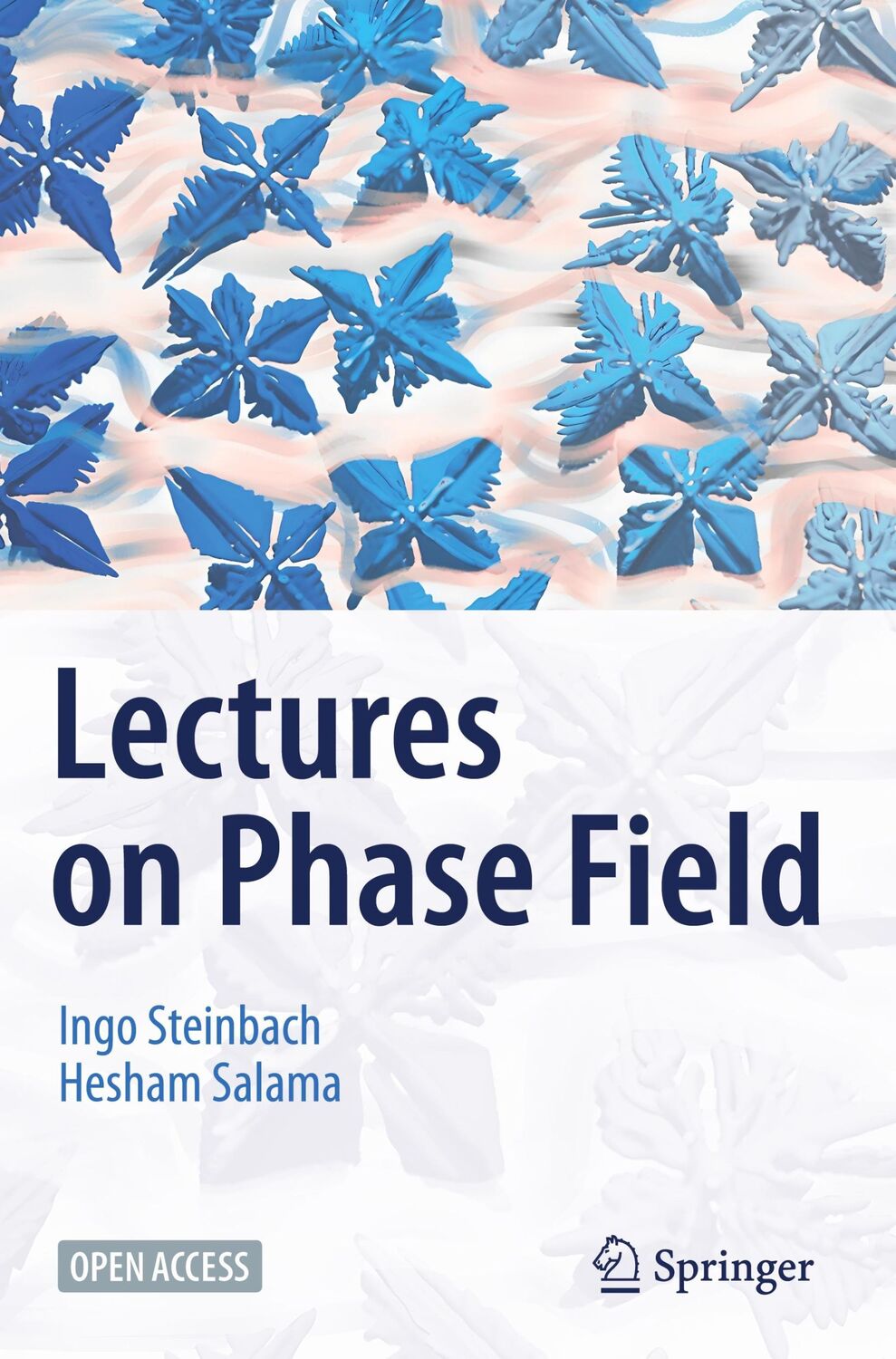 Cover: 9783031211706 | Lectures on Phase Field | Hesham Salama (u. a.) | Buch | ix | Englisch