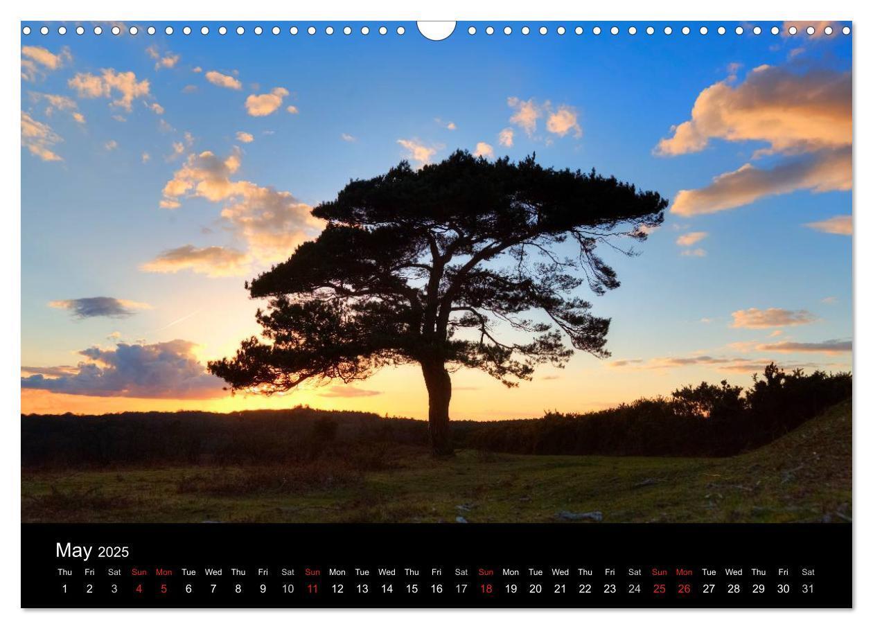 Bild: 9781325951734 | New Forest Hampshire (Wall Calendar 2025 DIN A3 landscape),...