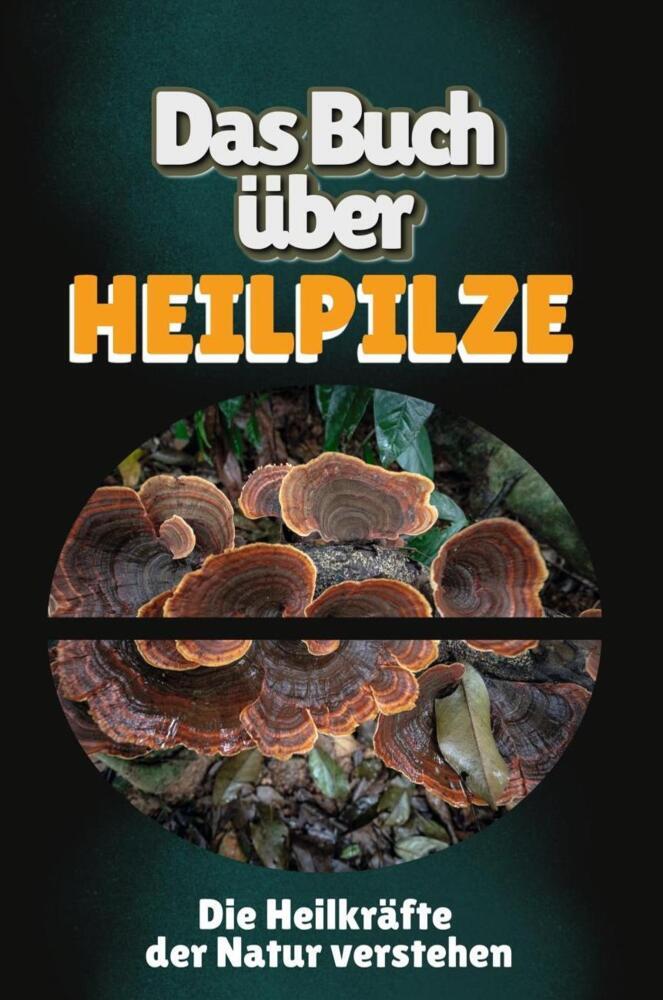 Cover: 9783759147837 | Das Buch über Heilpilze | Die Heilkräfte der Natur verstehen | Koch