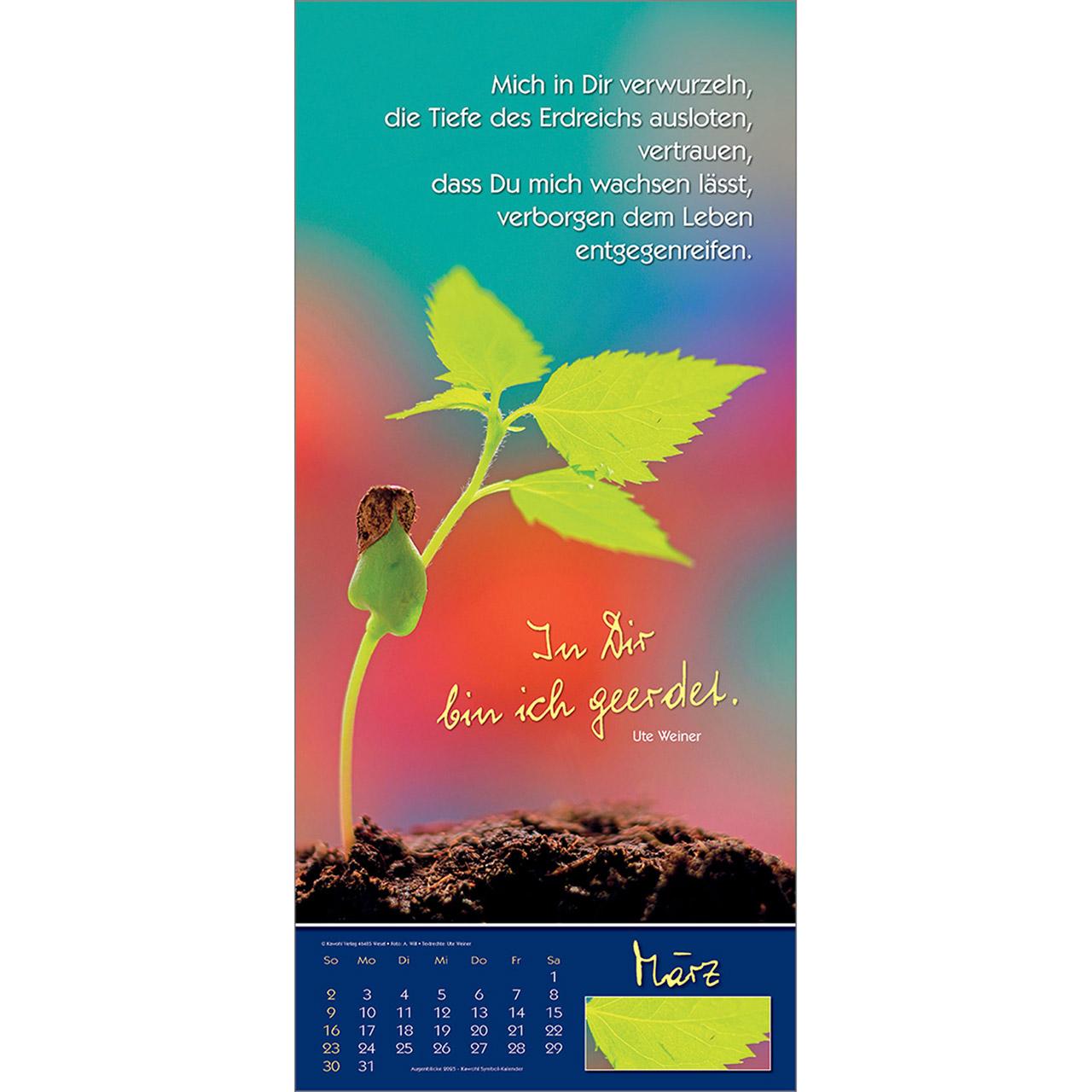 Bild: 9783754858554 | Augenblicke 2025 | Symbol-Kalender | Anke Will | Kalender | 14 S.