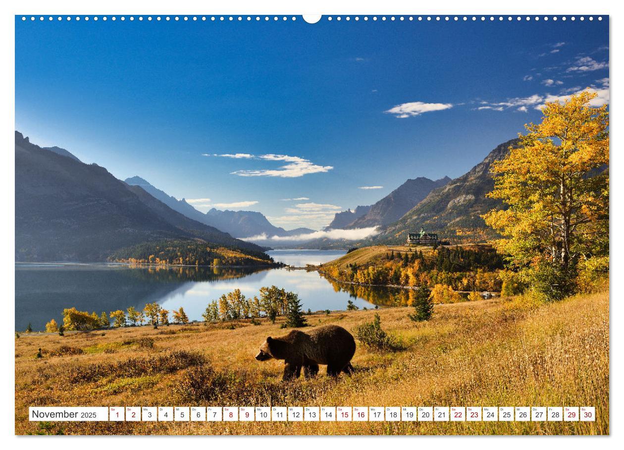 Bild: 9783383887390 | KANADA - Die Bären der Rocky Mountains (Wandkalender 2025 DIN A2...