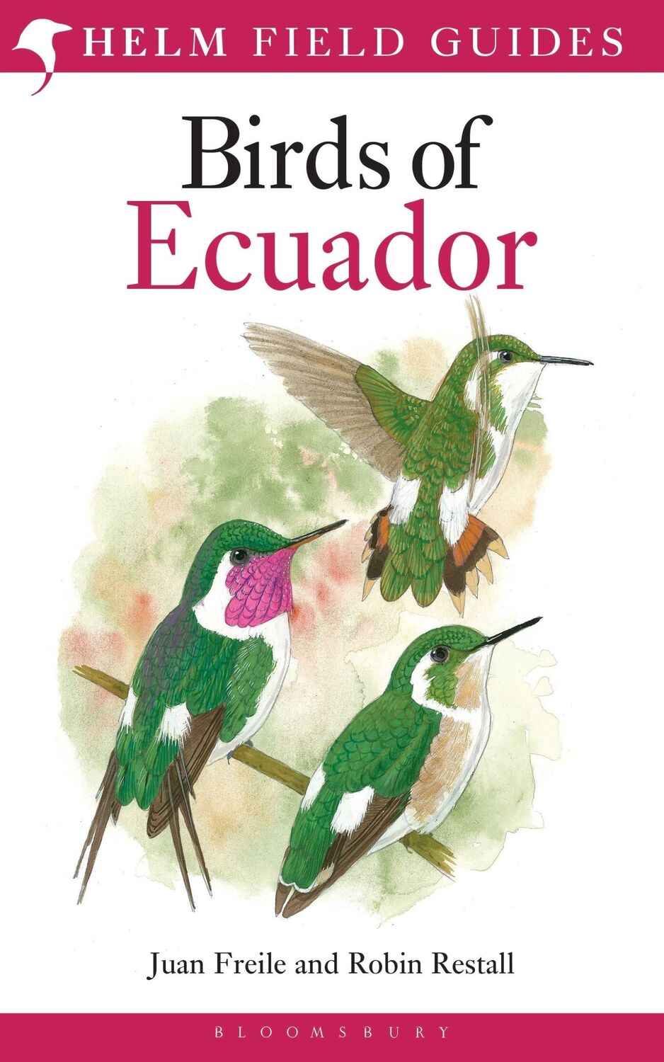 Autor: 9781408105337 | Field Guide to the Birds of Ecuador | Juan Freile (u. a.) | Buch