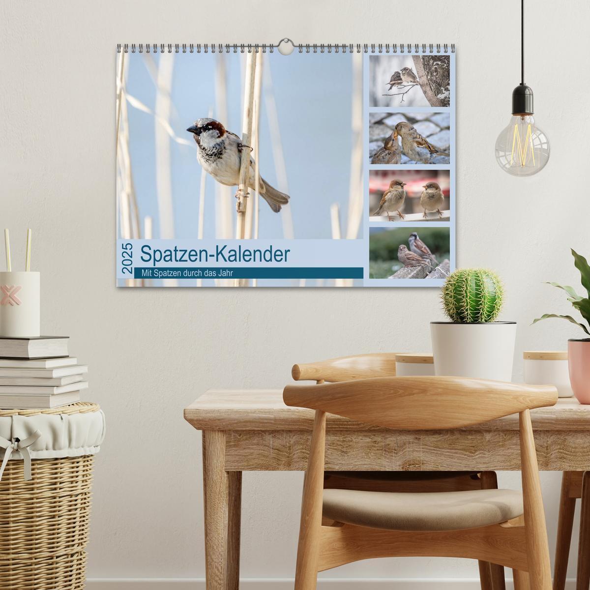 Bild: 9783435788934 | Spatzen-Kalender (Wandkalender 2025 DIN A3 quer), CALVENDO...