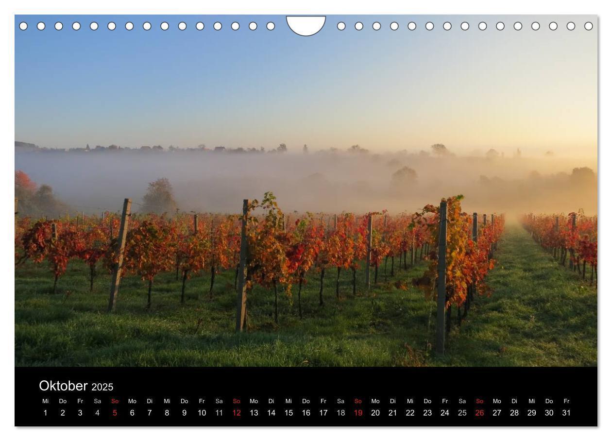 Bild: 9783435758524 | Weinidylle im Südburgenland (Wandkalender 2025 DIN A4 quer),...