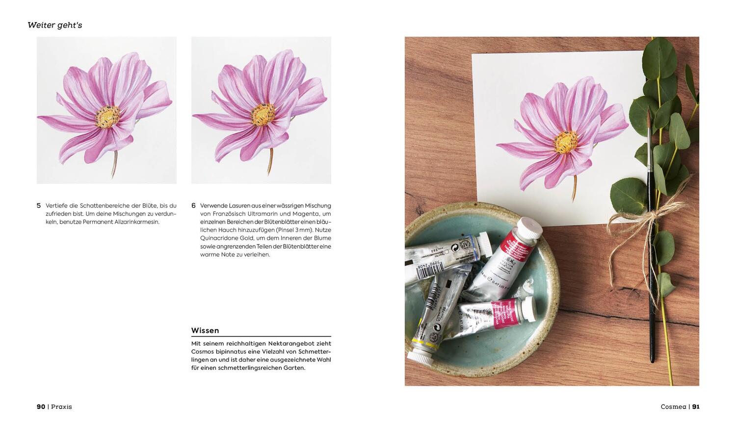 Bild: 9783745922325 | Botanicals - Naturmotive in Aquarell | Sophie Crossart | Buch | 144 S.