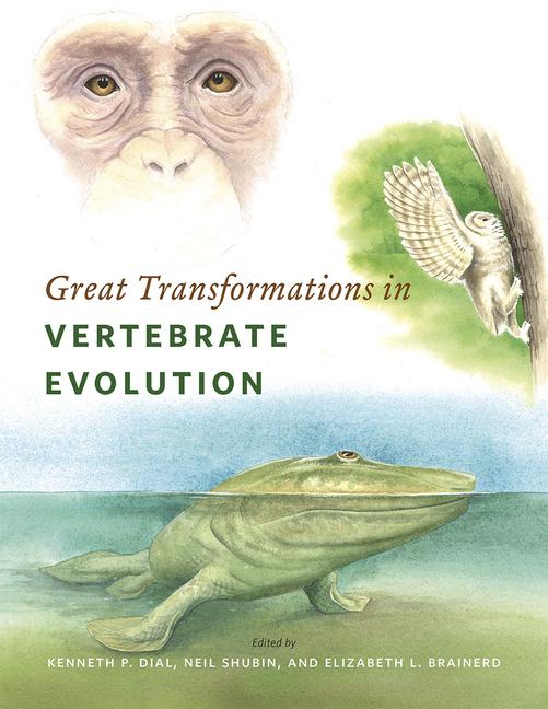 Cover: 9780226268255 | Great Transformations in Vertebrate Evolution | Kenneth P Dial | Buch