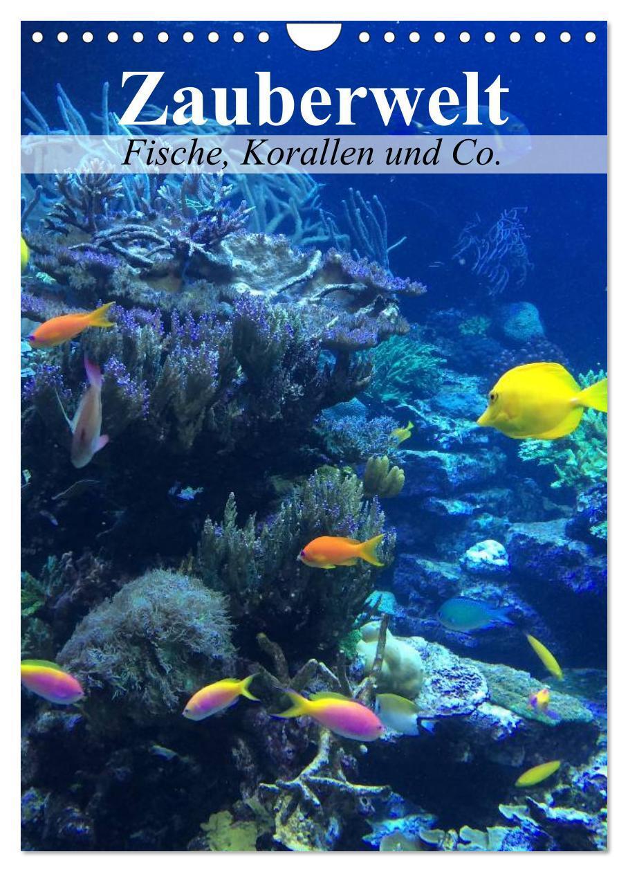 Cover: 9783457036006 | Zauberwelt. Fische, Korallen und Co. (Wandkalender 2025 DIN A4...