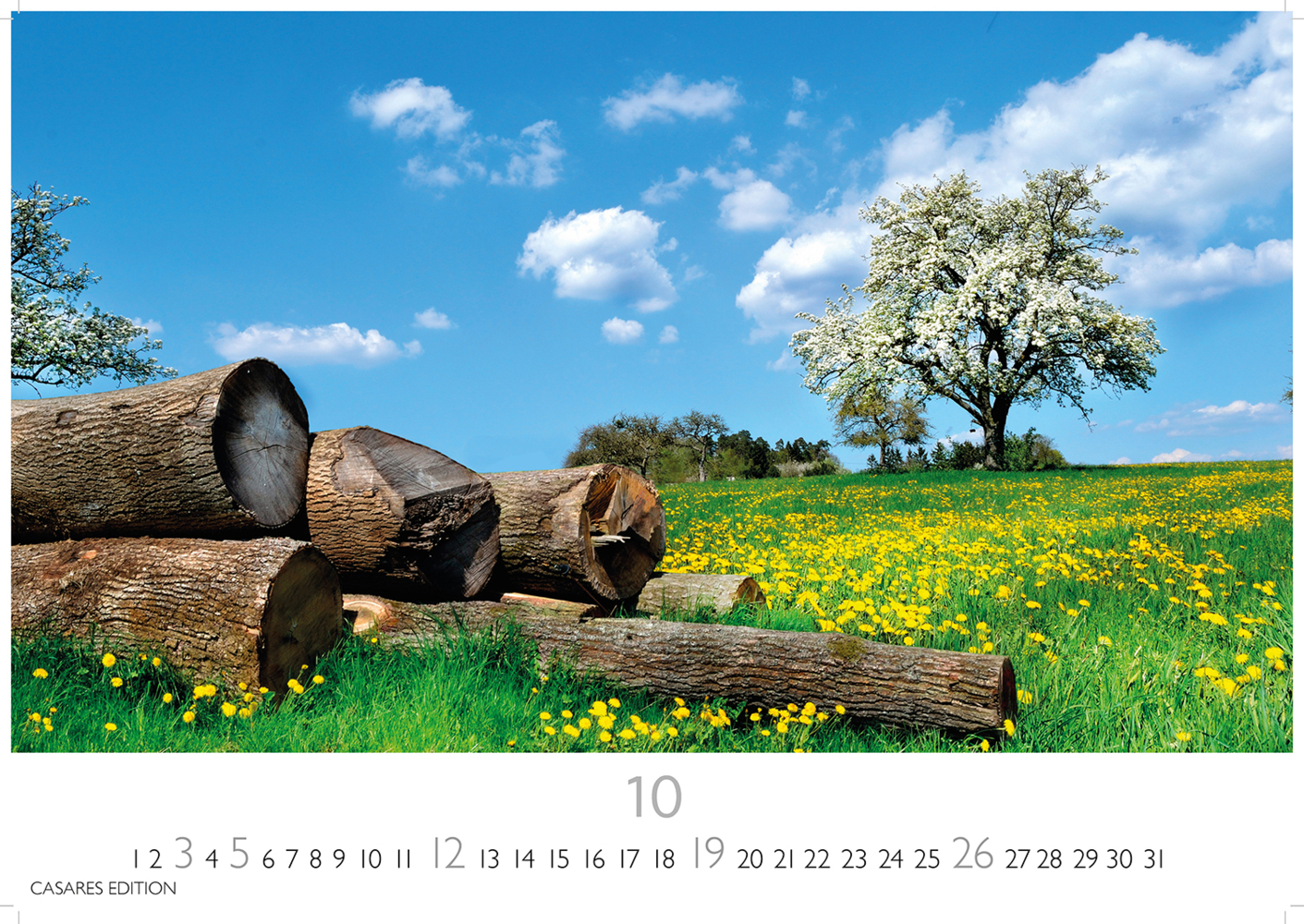 Bild: 9781835242193 | Blumenwiese 2025 S 24x35cm | Kalender | 14 S. | Deutsch | 2025