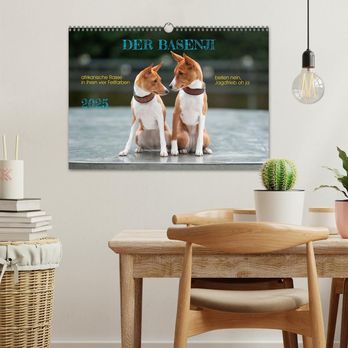 Bild: 9783457195710 | Der Basenji (Wandkalender 2025 DIN A3 quer), CALVENDO Monatskalender