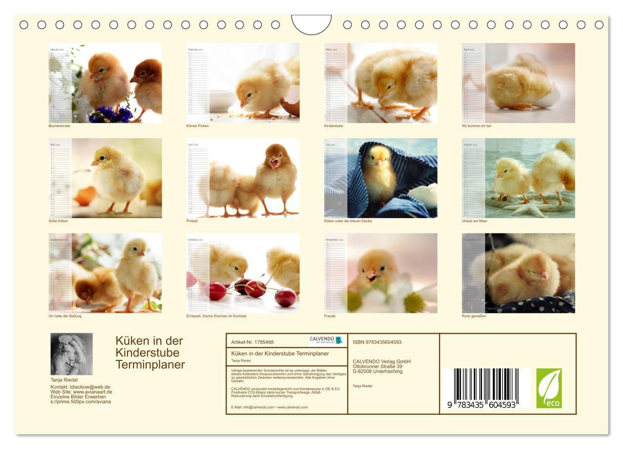 Bild: 9783435604593 | Küken in der Kinderstube Terminplaner (Wandkalender 2025 DIN A4...