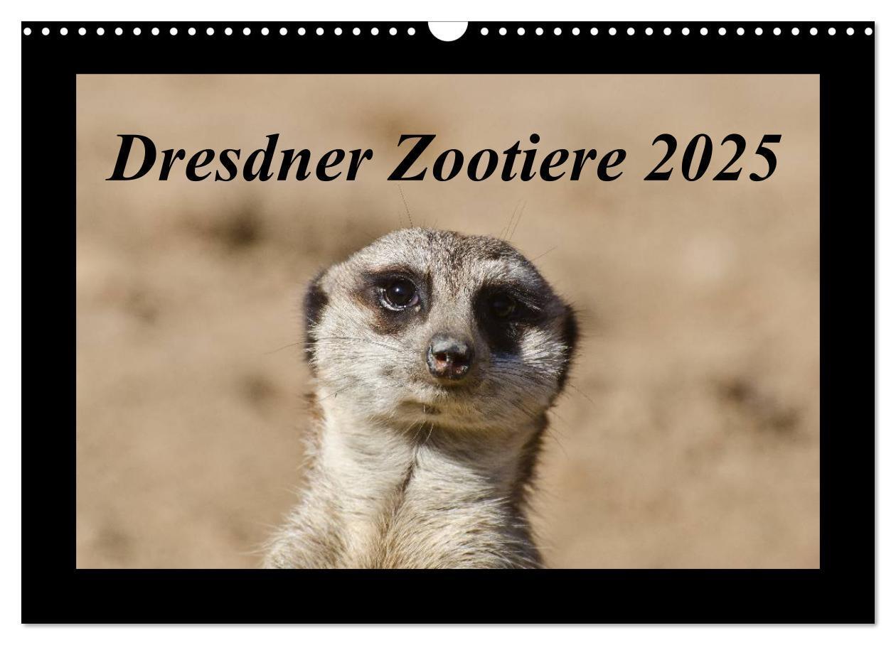 Cover: 9783435666355 | Dresdner Zootiere 2025 (Wandkalender 2025 DIN A3 quer), CALVENDO...