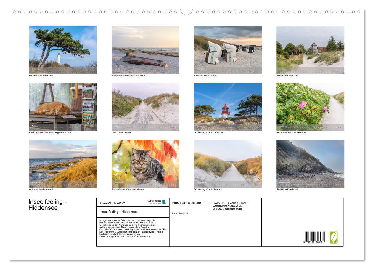 Bild: 9783383868481 | Inseelfeeling - Hiddensee (Wandkalender 2025 DIN A2 quer), CALVENDO...