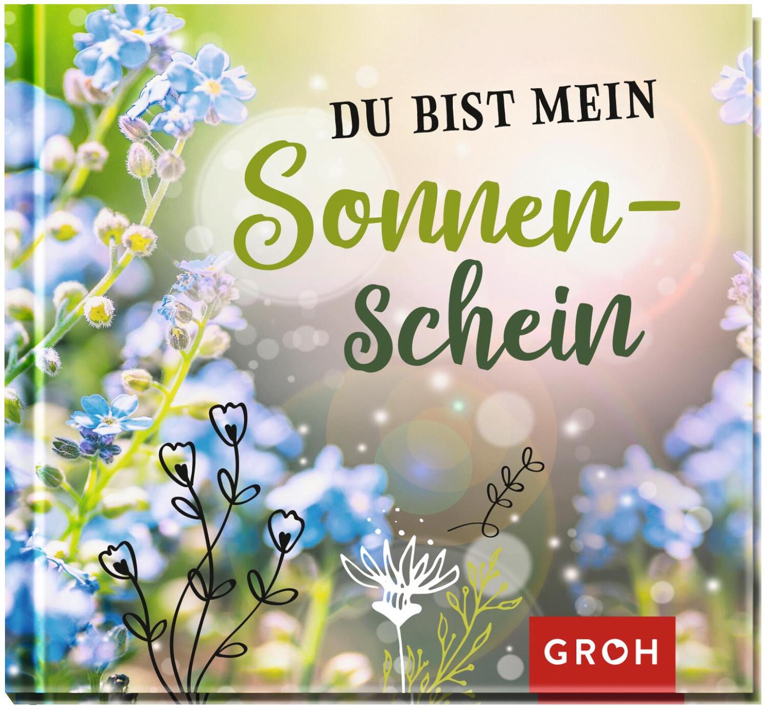 Cover: 9783848524419 | Du bist mein Sonnenschein | Groh Verlag | Buch | Hardcover | 48 S.