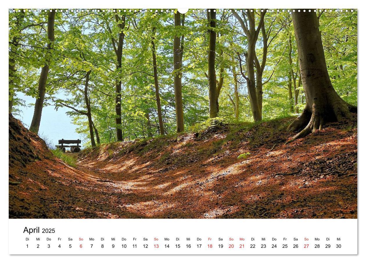 Bild: 9783435836970 | Insel Rügen (Wandkalender 2025 DIN A2 quer), CALVENDO Monatskalender