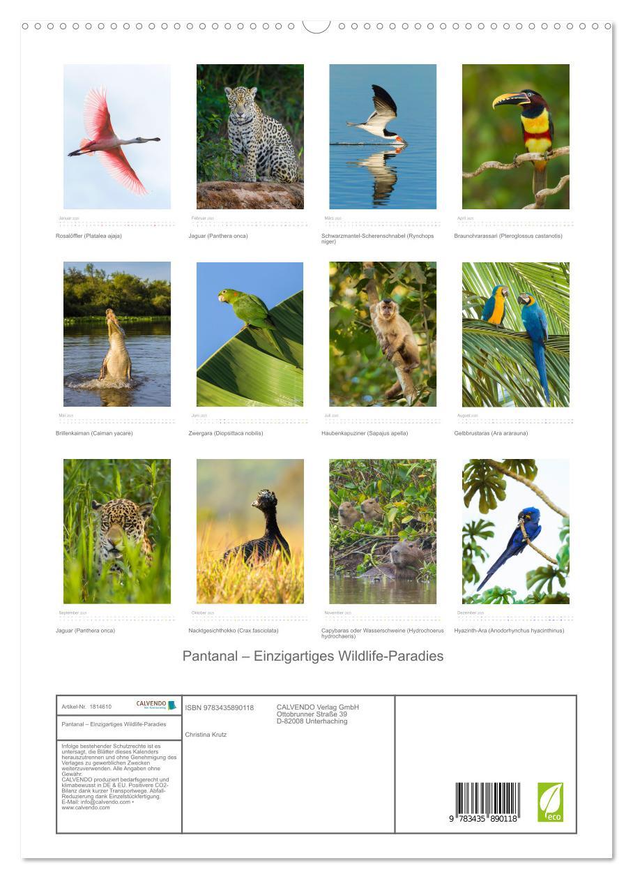 Bild: 9783435890118 | Pantanal ¿ Einzigartiges Wildlife-Paradies (hochwertiger Premium...