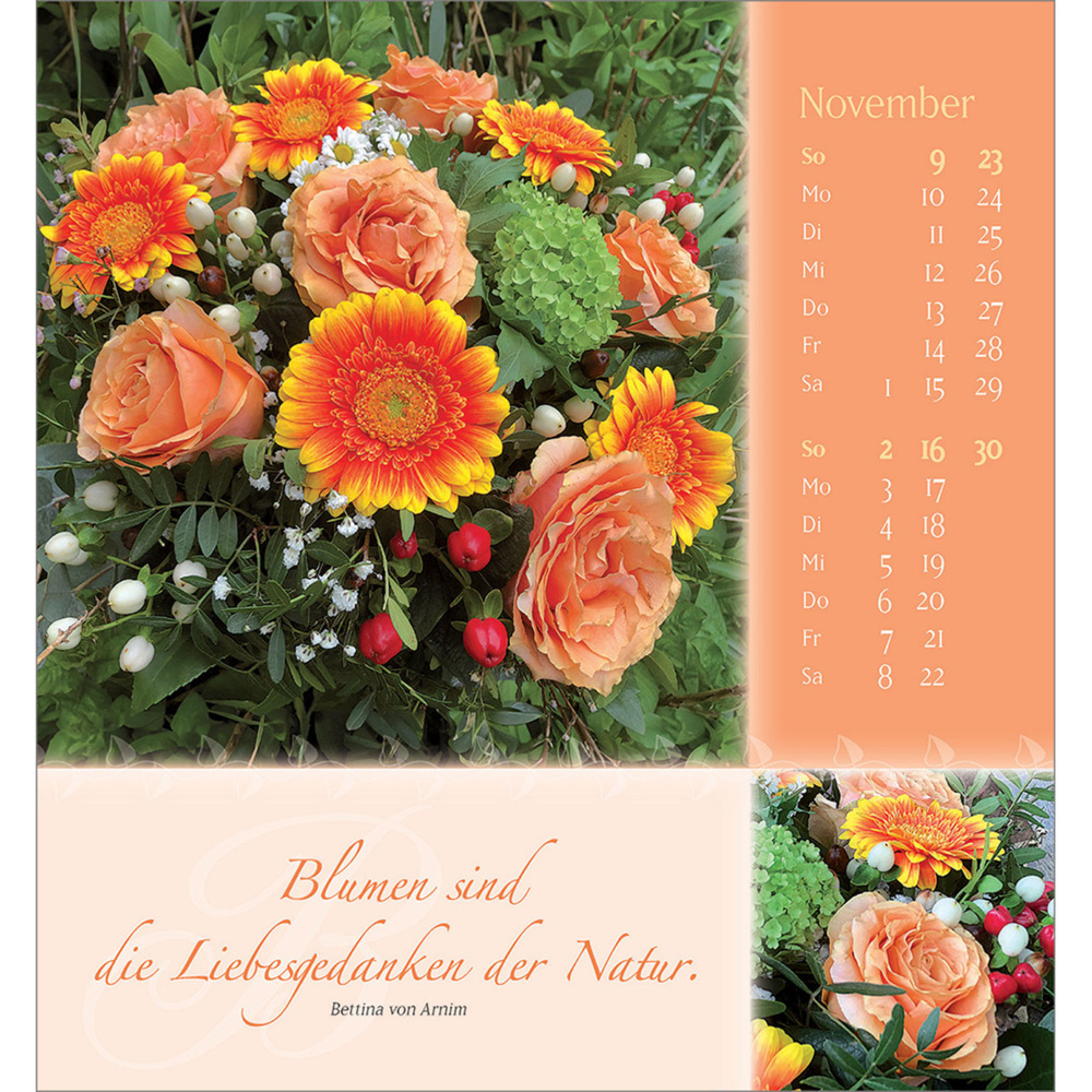 Bild: 9783754880555 | Rosenduft mit besten Wünschen 2025 | Doro Zachmann | Kalender | 13 S.