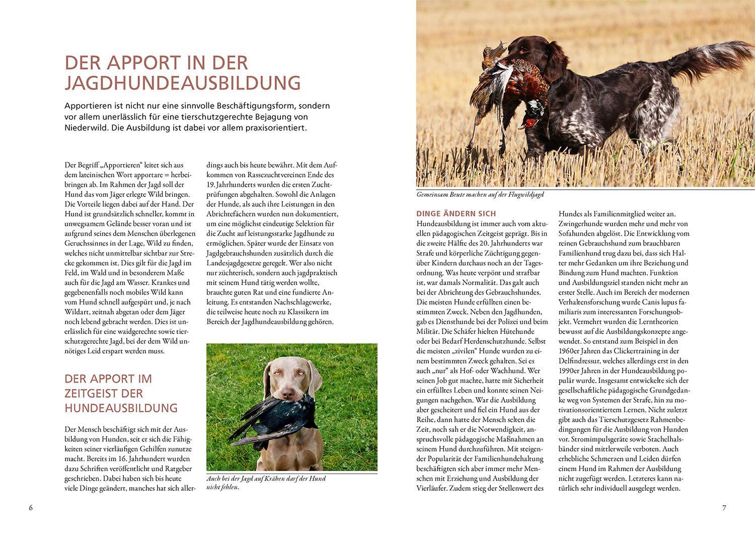 Bild: 9783440178416 | Mit Freude bringen | Tanja Dautzenberg | Taschenbuch | 144 S. | 2024