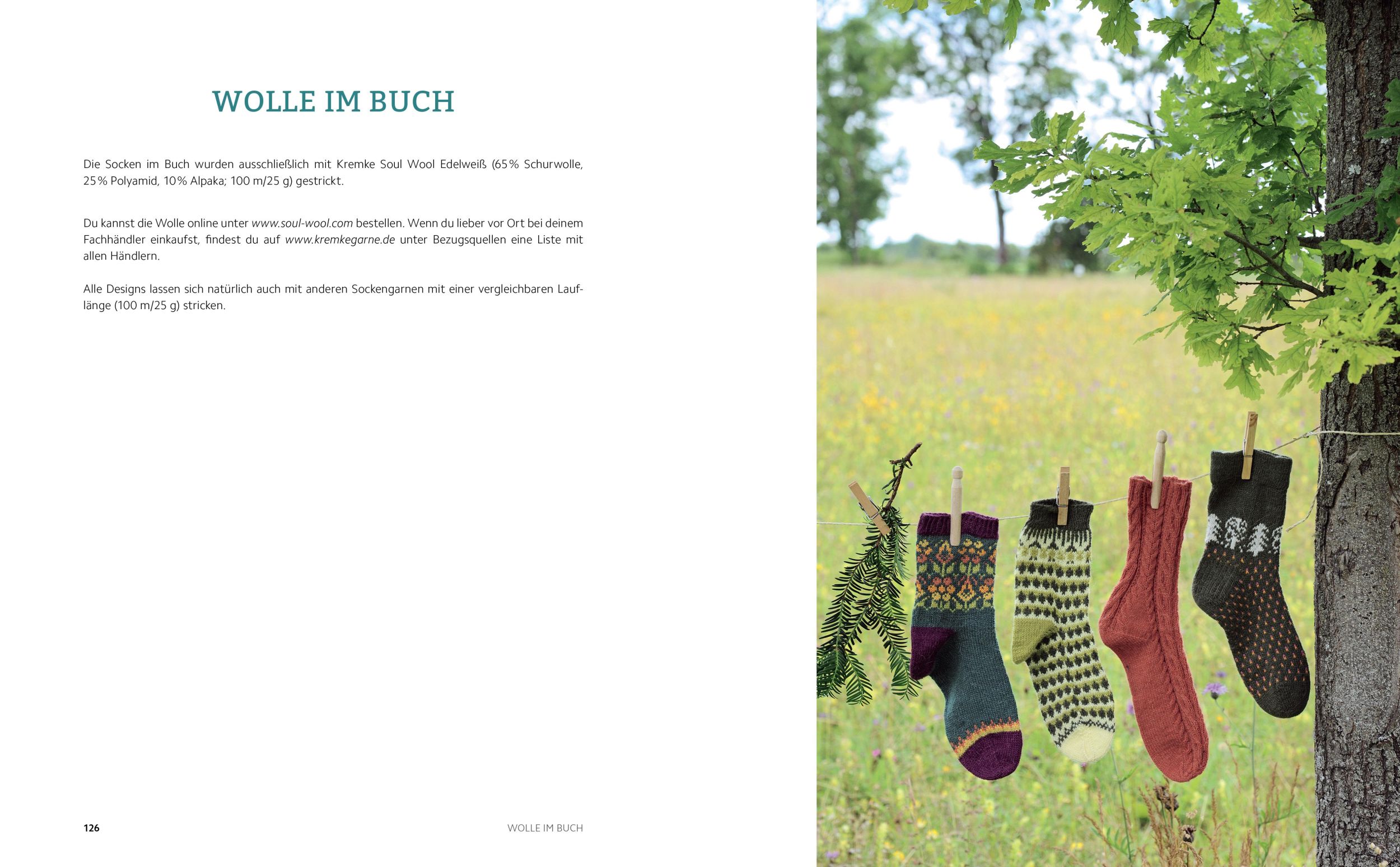 Bild: 9783830721086 | Landschaften auf den Socken. Von der Natur inspirierte Strickmuster.