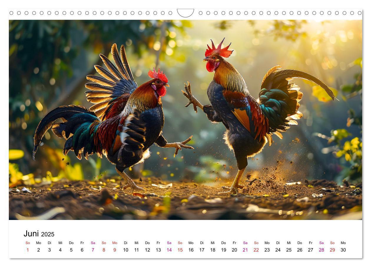 Bild: 9783457174906 | Hühner Federvieh (Wandkalender 2025 DIN A3 quer), CALVENDO...