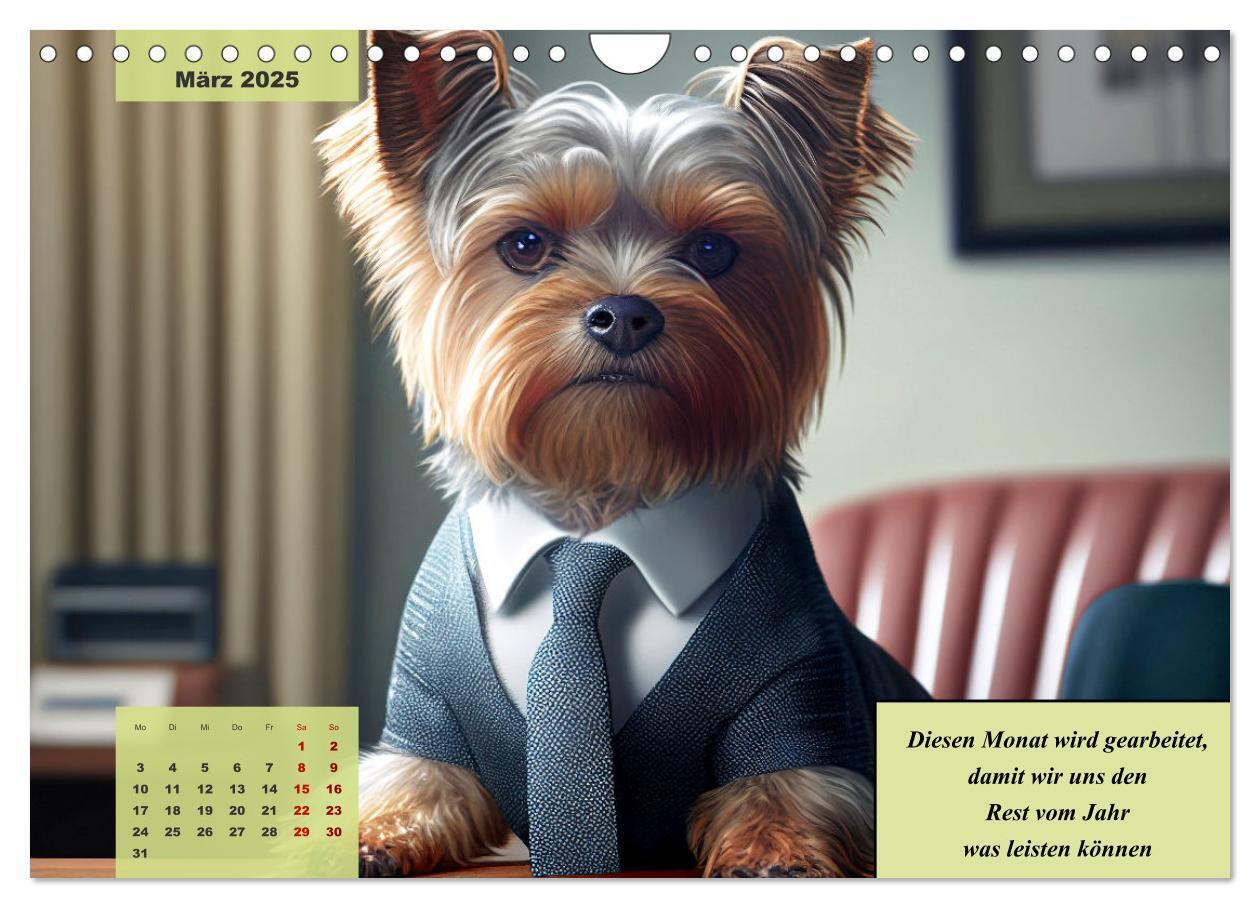 Bild: 9783383920523 | Der humoristische Yorkshire Terrier Kalender (Wandkalender 2025 DIN...