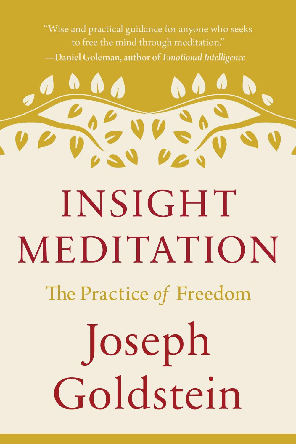 Cover: 9781645473435 | Insight Meditation | The Practice of Freedom | Joseph Goldstein | Buch