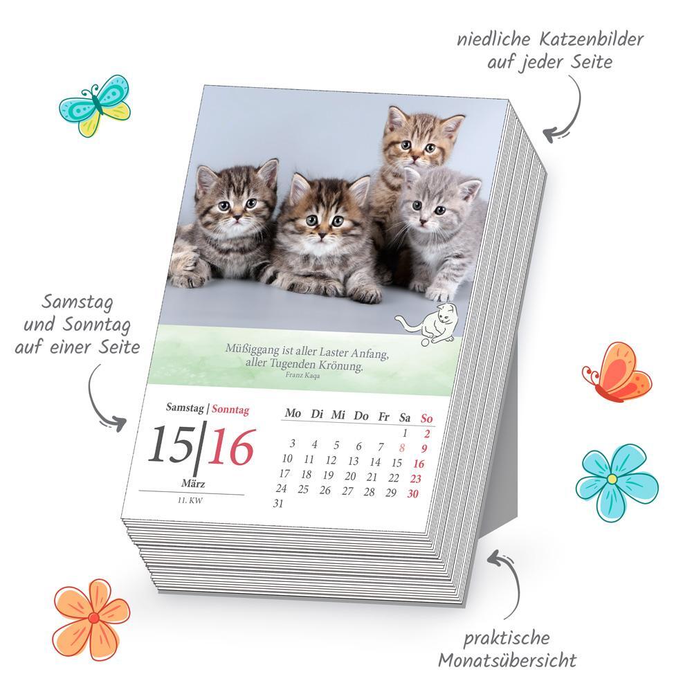 Bild: 9783988021700 | Trötsch Abreißkalender Katzen 2025 | Trötsch Verlag GmbH &amp; Co. KG