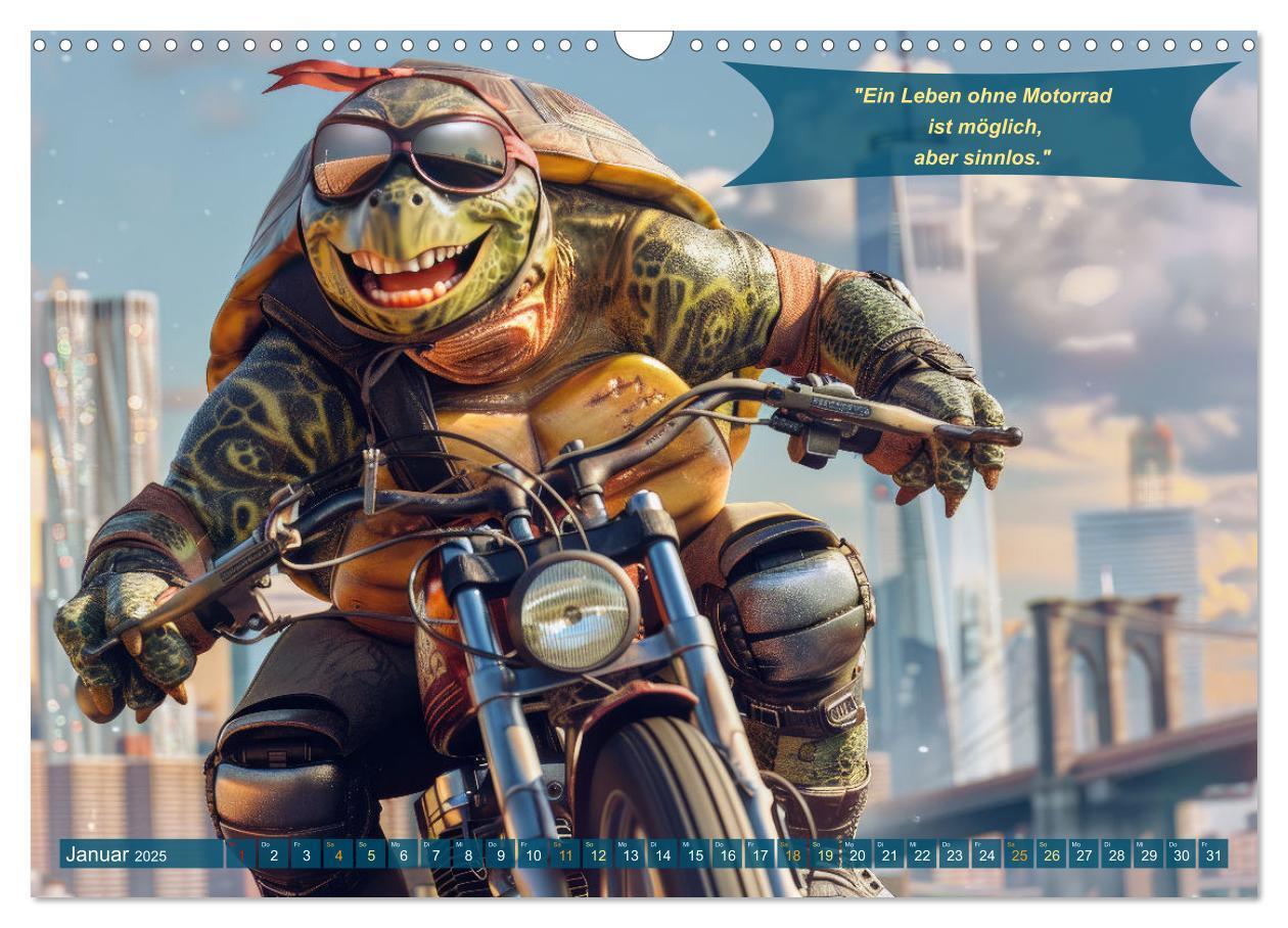 Bild: 9783457166055 | Tierisch lustige Motorradfahrer (Wandkalender 2025 DIN A3 quer),...