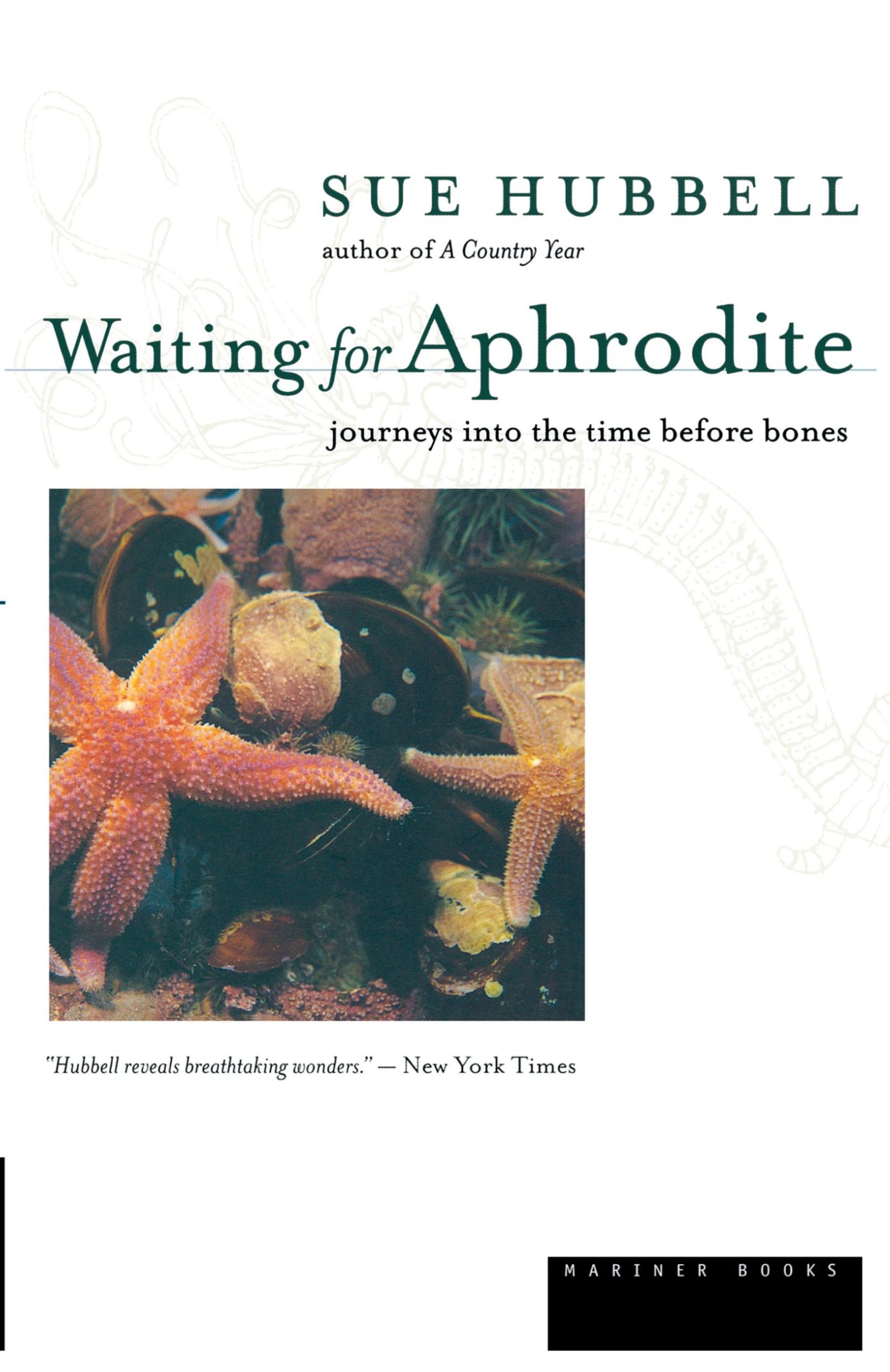 Cover: 9780618056842 | Waiting for Aphrodite | Journeys Into the Time Before Bones | Hubbell