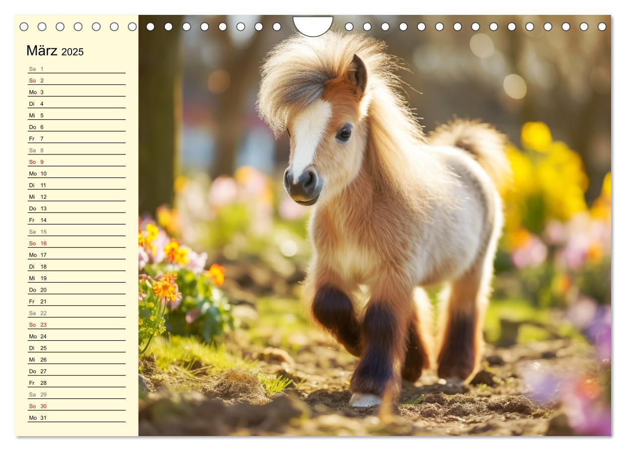 Bild: 9783435011605 | Kleine Pferde. Mini-Ponys zum verlieben (Wandkalender 2025 DIN A4...