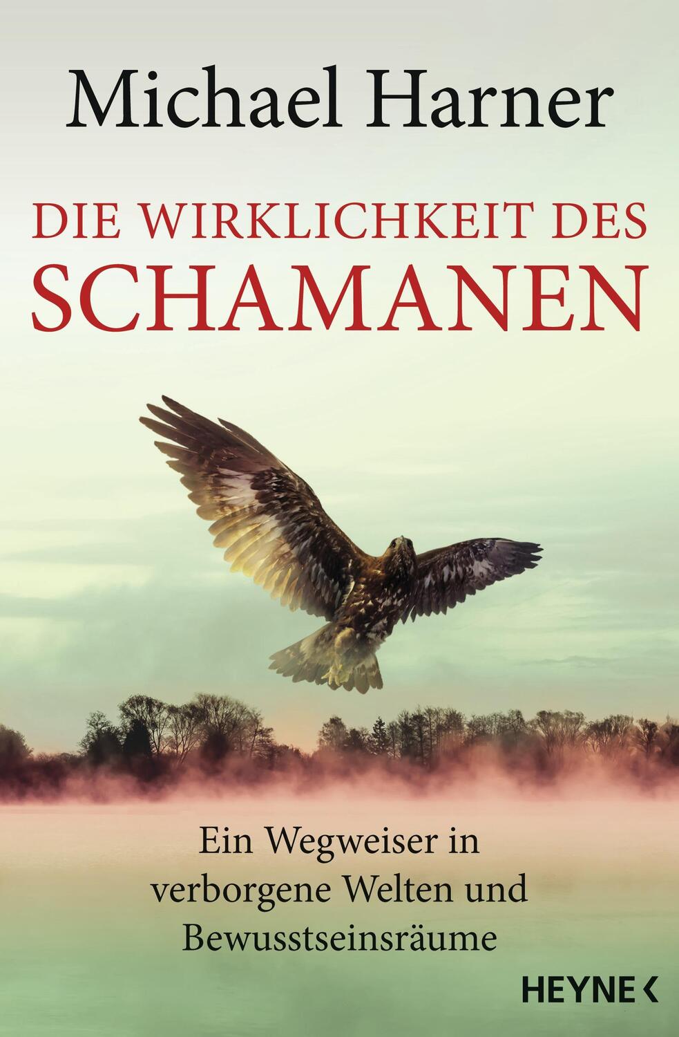 Cover: 9783453702936 | Die Wirklichkeit des Schamanen | Michael Harner | Taschenbuch | 2016