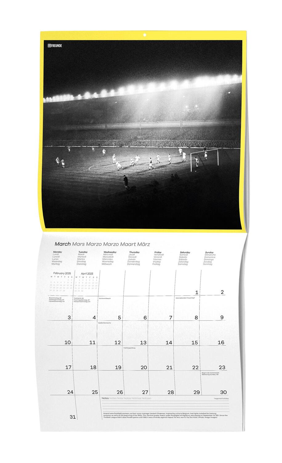 Bild: 4002725995223 | Let There Be Light! 11FREUNDE 2025 - Wand-Kalender -...