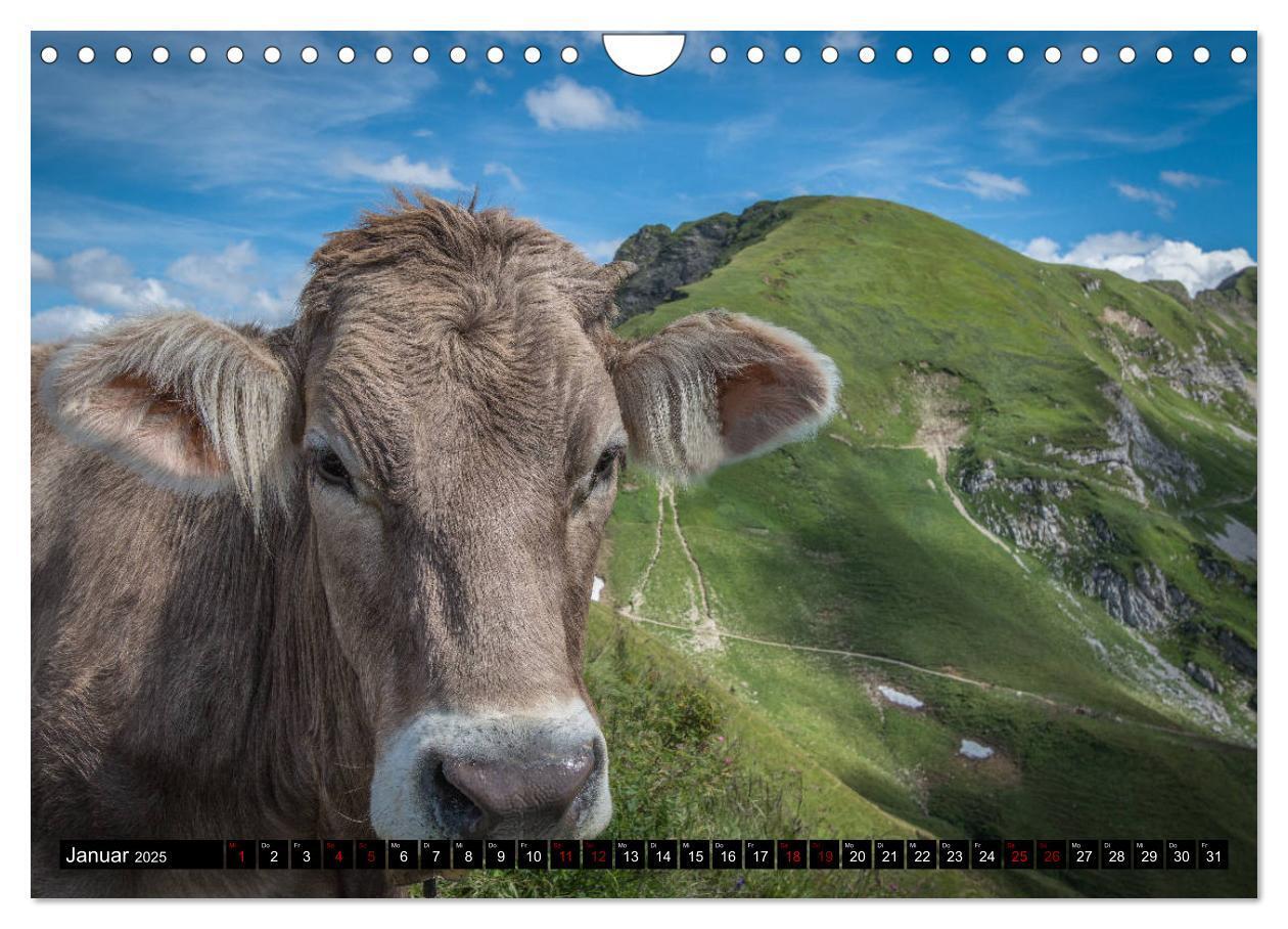 Bild: 9783435438525 | Oberallgäu - Oberstdorf und Umgebung (Wandkalender 2025 DIN A4...