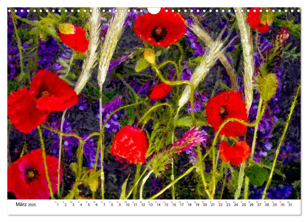 Bild: 9783383983825 | Bunte Mohnblumen - Impressionen der Mohnblüte in Acrylfarbe...