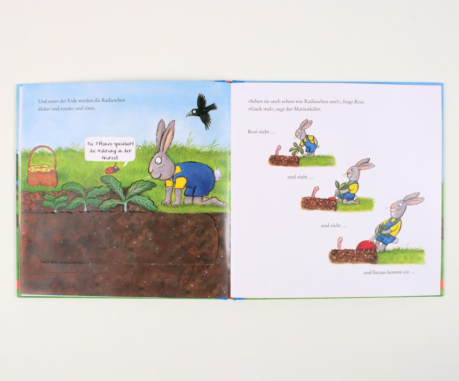 Bild: 9783407758873 | Rosi pflanzt Radieschen | Axel Scheffler | Buch | 16 S. | Deutsch