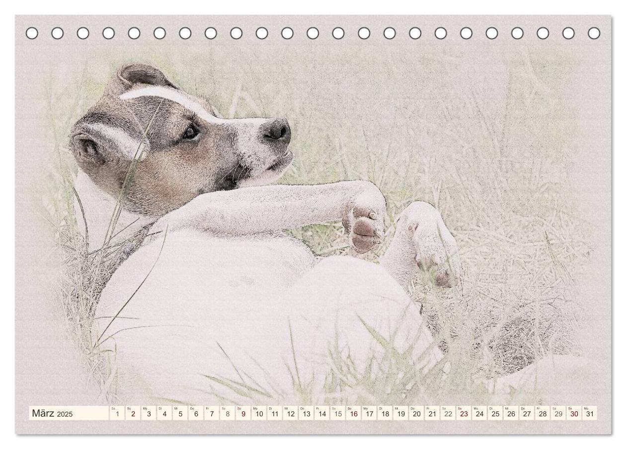 Bild: 9783435699872 | Bodeguero Andaluz 2025 (Tischkalender 2025 DIN A5 quer), CALVENDO...