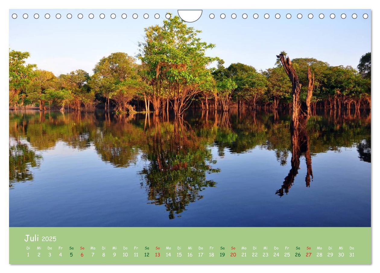 Bild: 9783435658541 | Am Amazonas (Wandkalender 2025 DIN A4 quer), CALVENDO Monatskalender