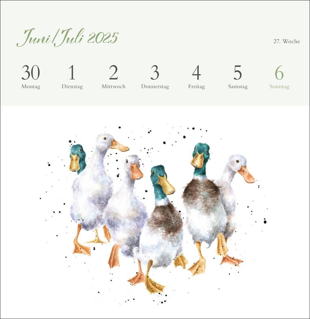 Bild: 9783756408641 | Hannah Dale: Happy Animals Premium-Postkartenkalender 2025 | Kalender