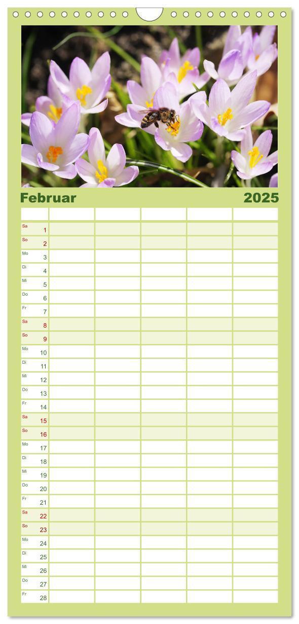 Bild: 9783457100844 | Familienplaner 2025 - Sanfte Natur mit 5 Spalten (Wandkalender, 21...