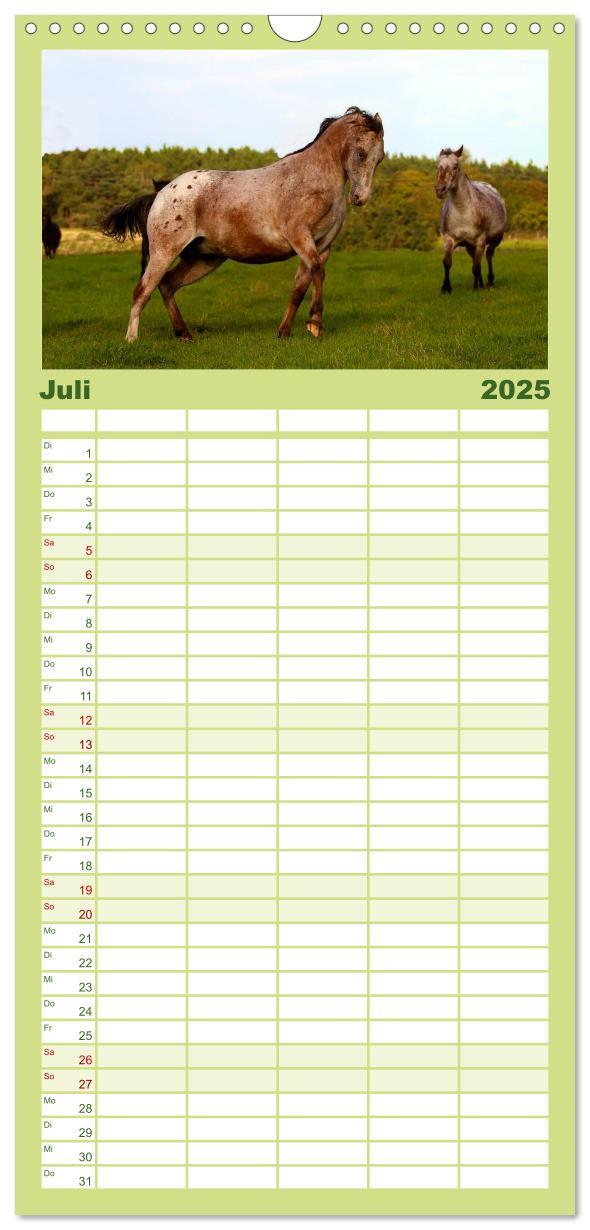 Bild: 9783457111130 | Familienplaner 2025 - Wilde Pferde mit 5 Spalten (Wandkalender, 21...