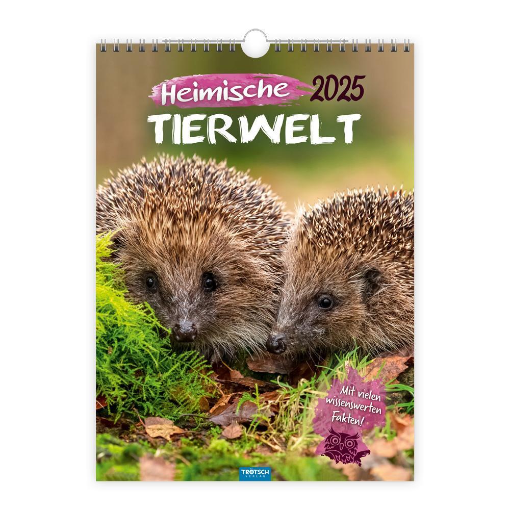 Cover: 9783988021984 | Trötsch Classickalender Heimische Tierwelt 2025 | Wandkalender | KG