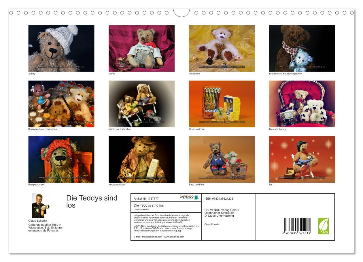 Bild: 9783435627233 | Die Teddys sind los (Wandkalender 2025 DIN A3 quer), CALVENDO...