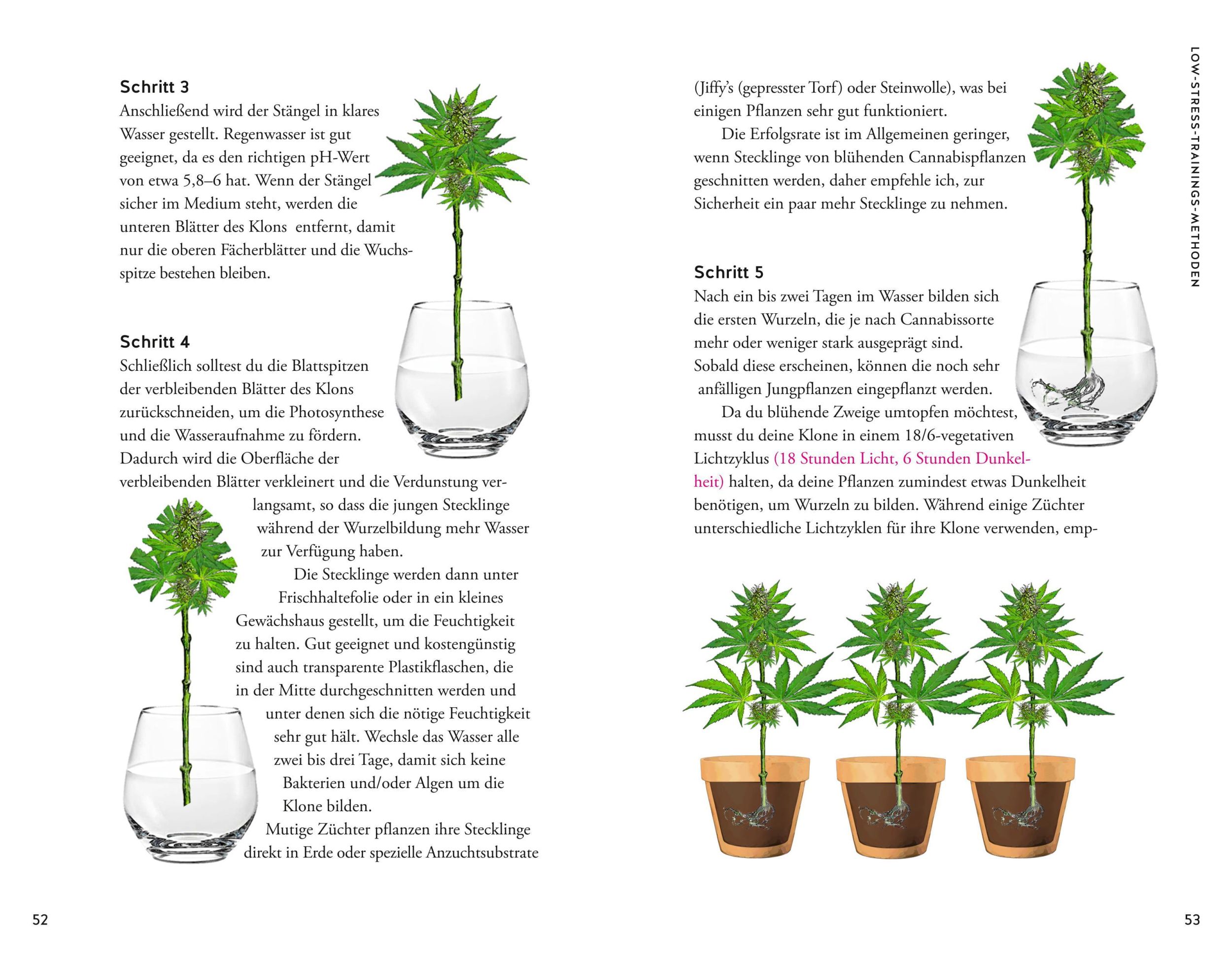 Bild: 9783833896828 | Cannabis | So klappt's garantiert | Christian Stolberg | Taschenbuch