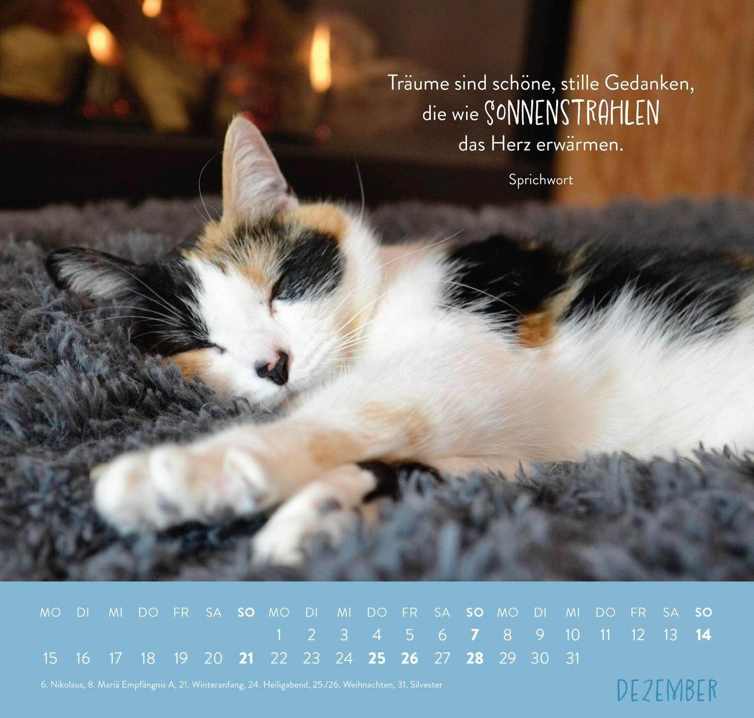 Bild: 4036442011881 | Wandkalender 2025: Für Katzenfreunde | Groh Verlag | Kalender | 12 S.