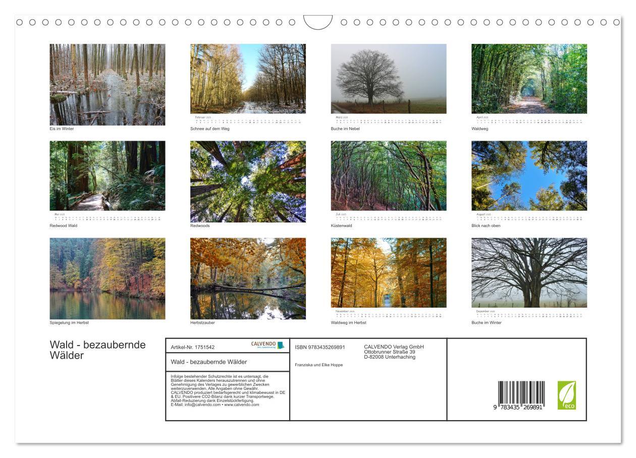 Bild: 9783435269891 | Wald - bezaubernde Wälder (Wandkalender 2025 DIN A3 quer), CALVENDO...